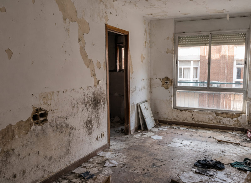 Danos-y-deterioros-en-la-vivienda-recuperar-la-posesión